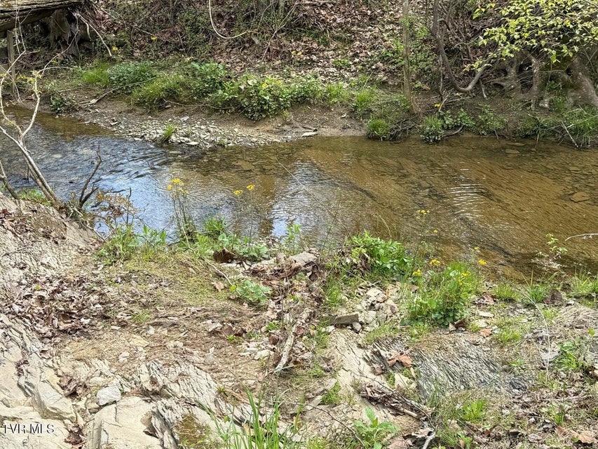 Photo #14: 0 Longtown Road