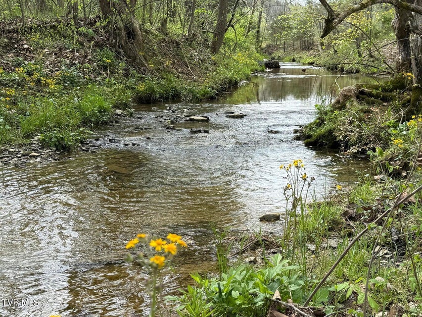 Photo #15: 0 Longtown Road
