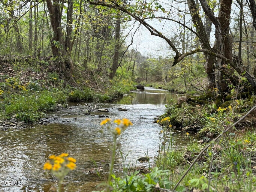 Photo #16: 0 Longtown Road