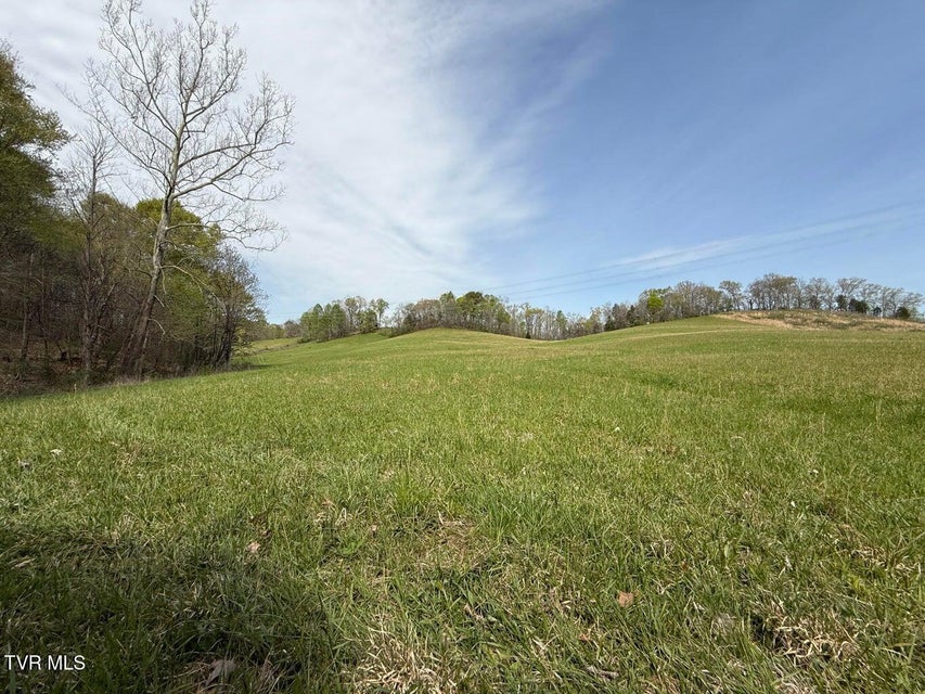 Photo #18: 0 Longtown Road