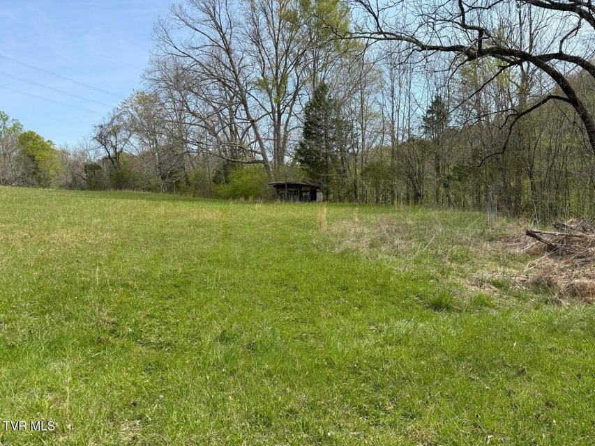 Photo #19: 0 Longtown Road