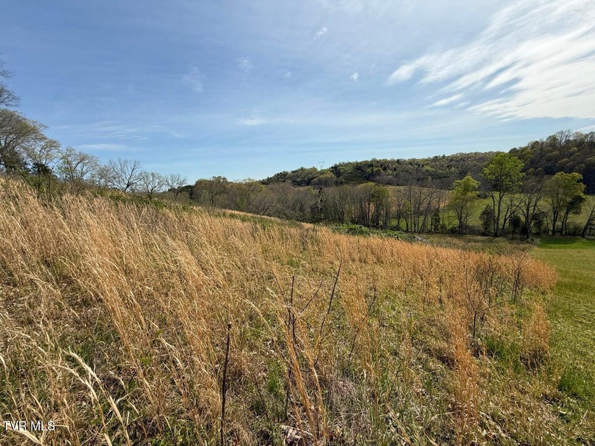 Photo #22: 0 Longtown Road