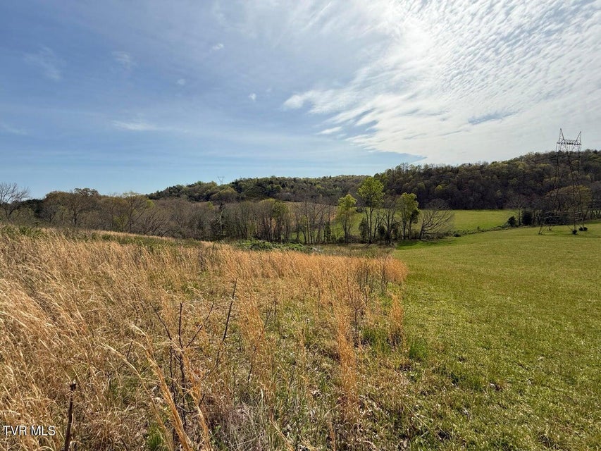 Photo #23: 0 Longtown Road