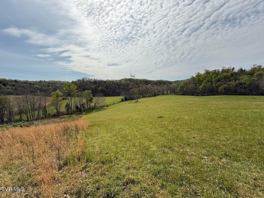 Photo #24: 0 Longtown Road