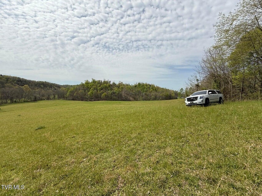 Photo #26: 0 Longtown Road