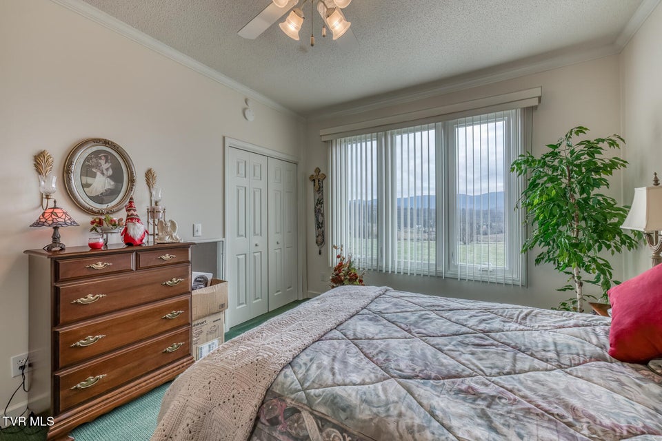 Photo #39: 229 Country Meadow Circle