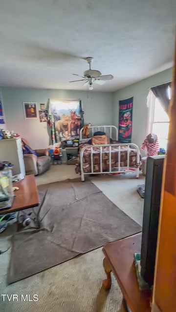 Photo #40: 920 Highway 421 