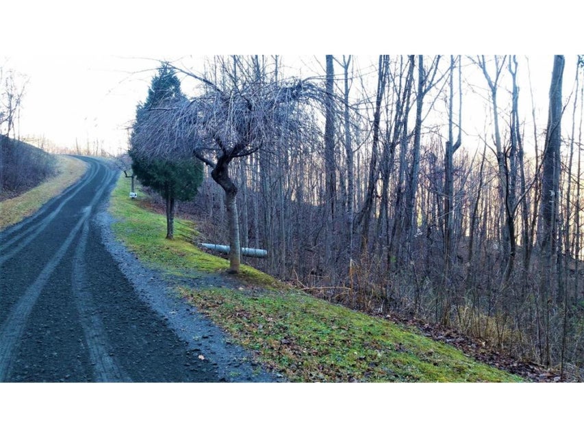 Photo #2: 11 Roan Springs Lane