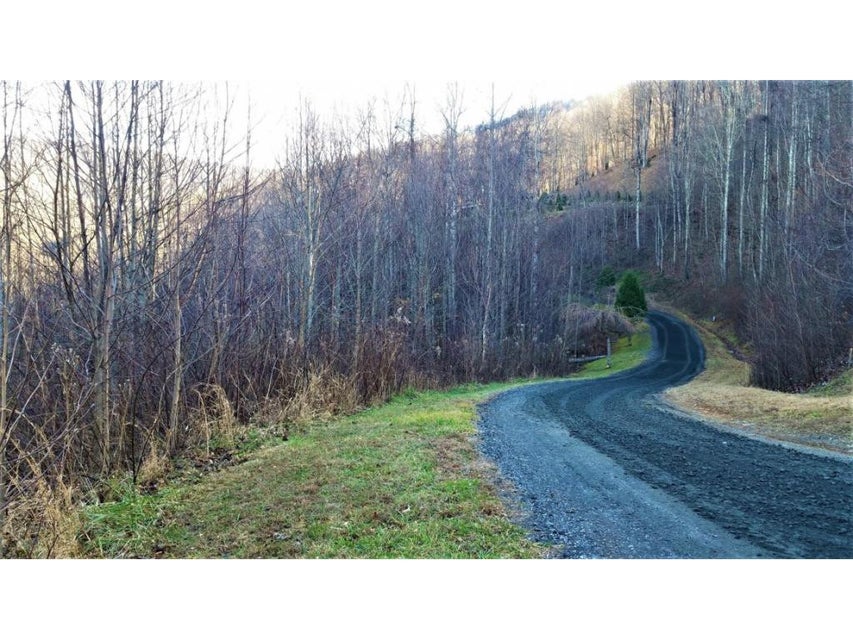 Photo #3: 11 Roan Springs Lane