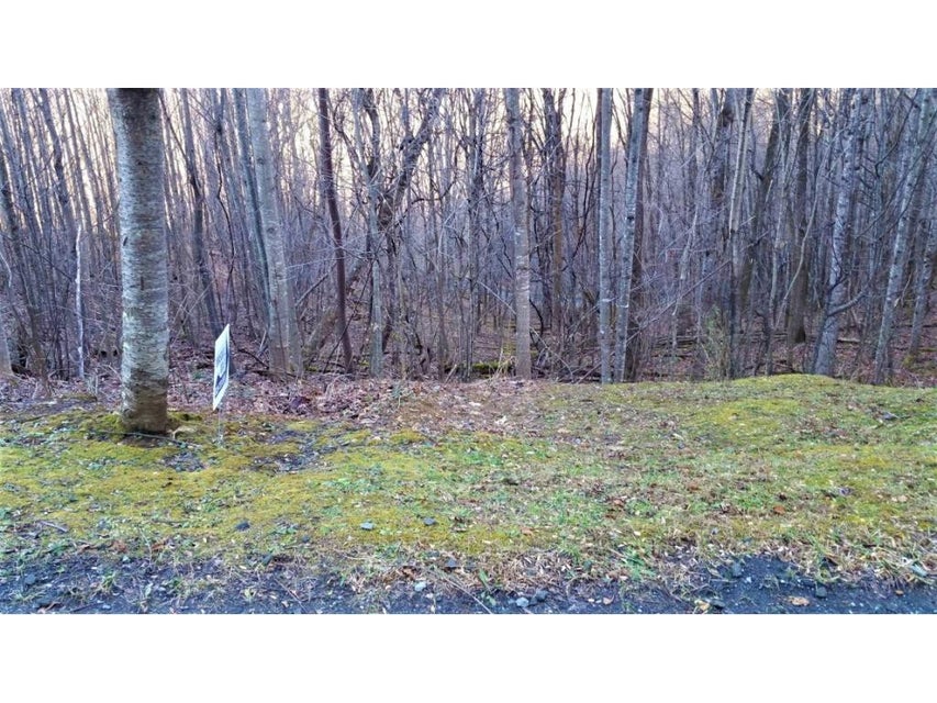 Photo #4: 11 Roan Springs Lane