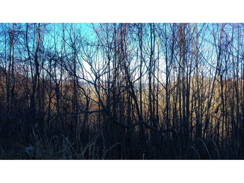 Photo #5: 11 Roan Springs Lane