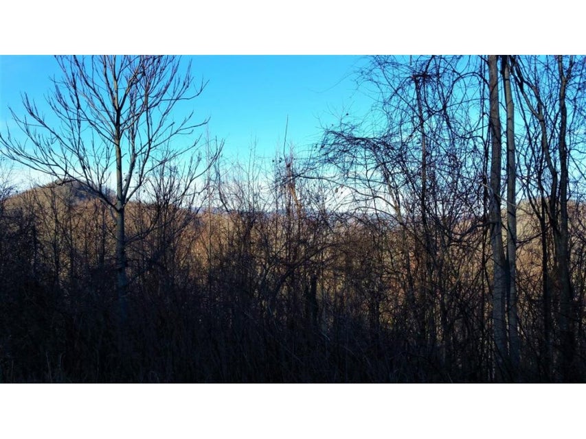 Photo #6: 11 Roan Springs Lane