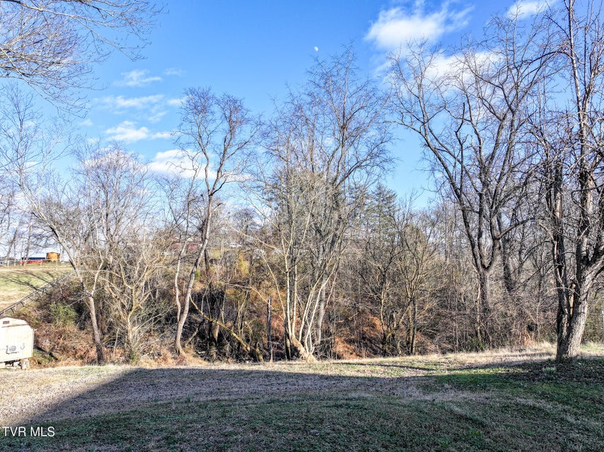 Photo #19: 129 Ridgeway Avenue