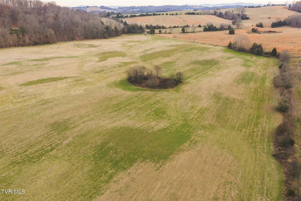 Photo #35: 6975 Saint Clair Road