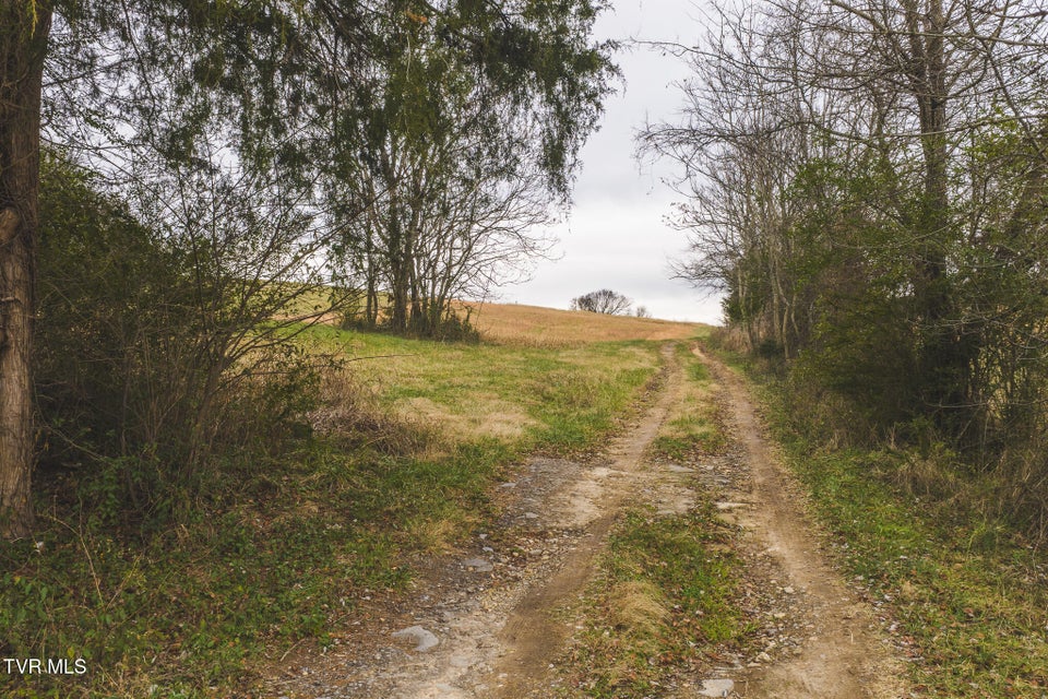 Photo #44: 6975 Saint Clair Road