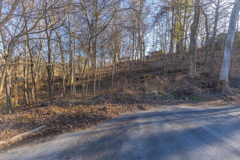 Photo #4: 213 Millstone Cove