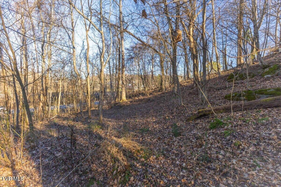 Photo #5: 213 Millstone Cove