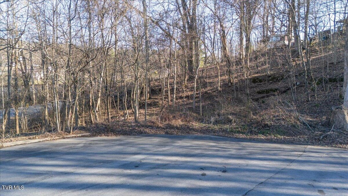 Photo #6: 213 Millstone Cove