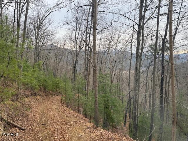 Photo #10: Tbd Ray Kegley Road