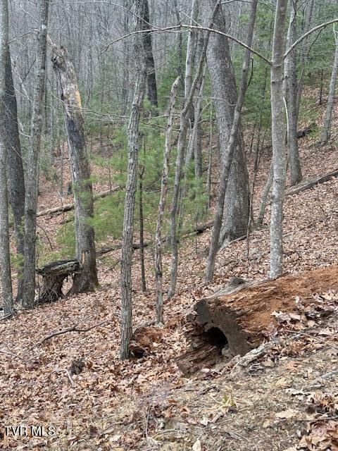 Photo #5: Tbd Ray Kegley Road