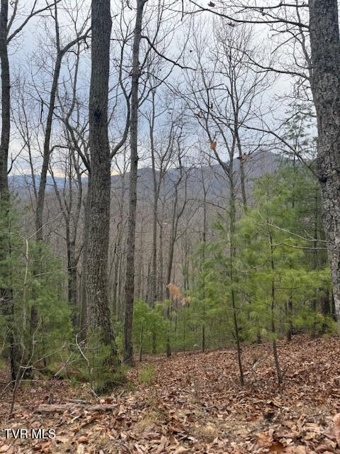 Photo #6: Tbd Ray Kegley Road