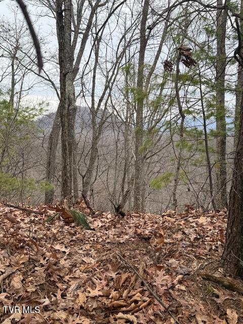 Photo #7: Tbd Ray Kegley Road