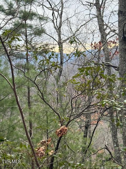 Photo #8: Tbd Ray Kegley Road