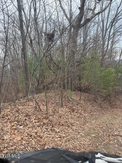 Photo #9: Tbd Ray Kegley Road