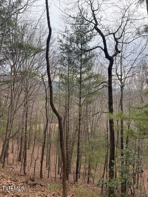 Photo #4: Tbd Ray Kegley Road