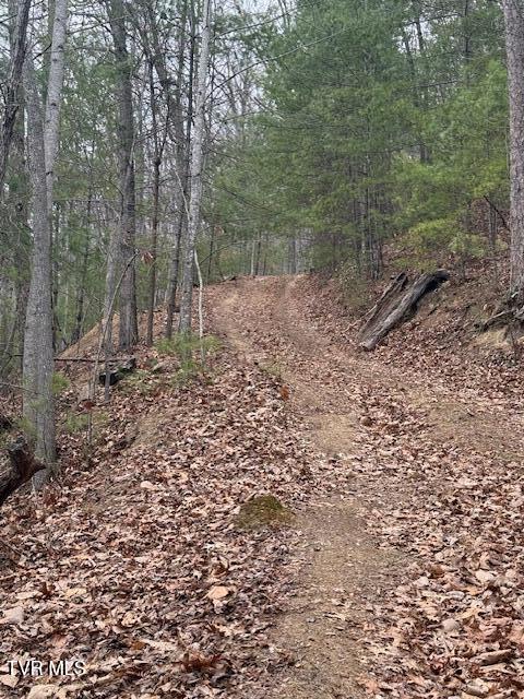 Photo #2: Tbd Ray Kegley Road