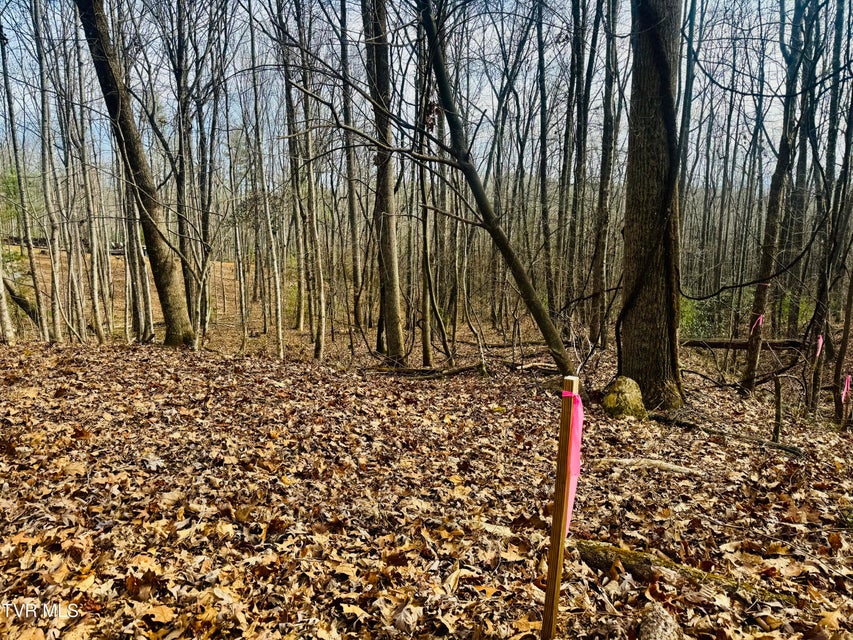 Photo #13: Tbd Black Bear Drive