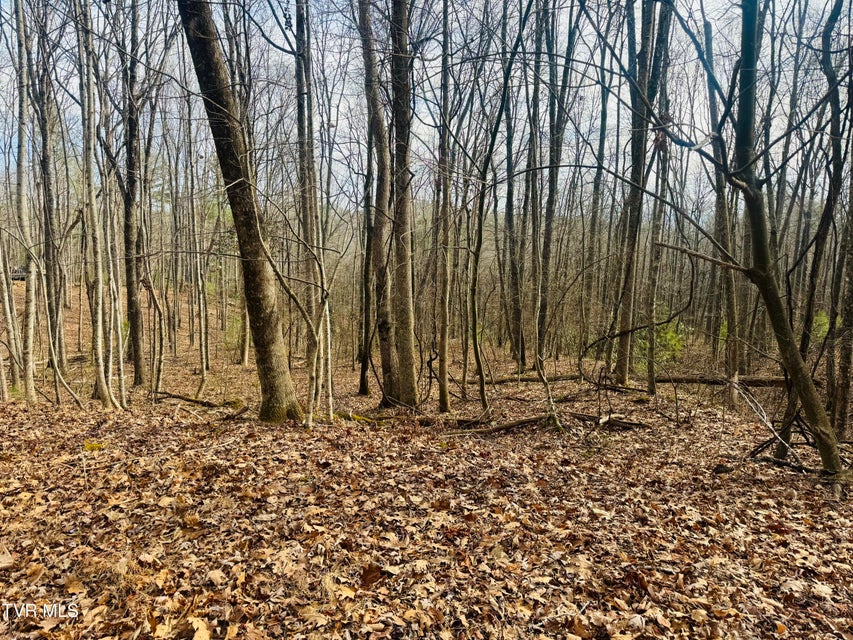 Photo #14: Tbd Black Bear Drive