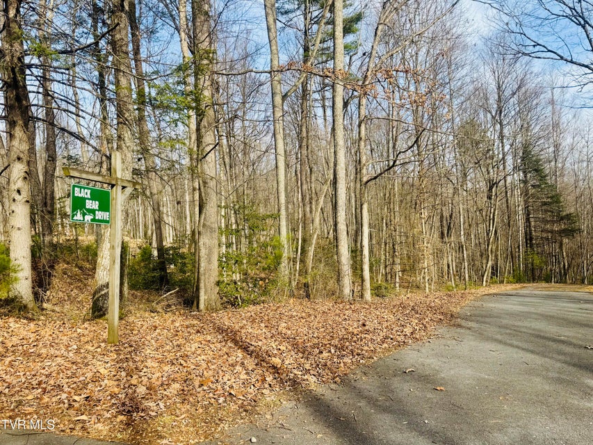 Photo #18: Tbd Black Bear Drive