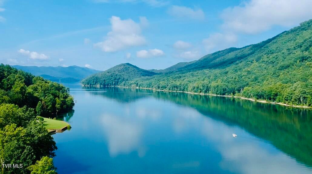 Photo #38: Tbd Black Bear Drive