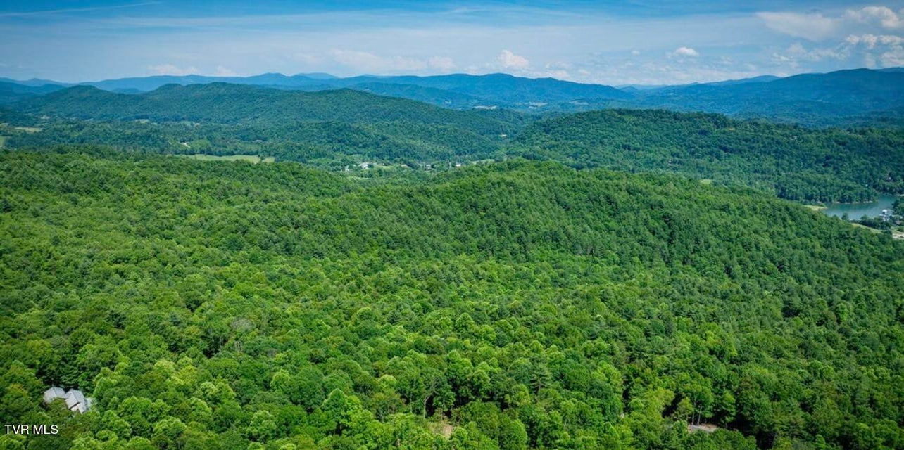 Photo #41: Tbd Black Bear Drive