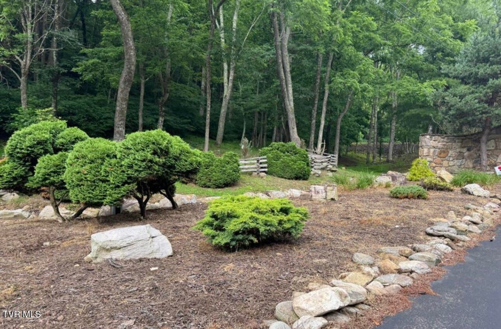 Photo #7: Tbd Black Bear Drive