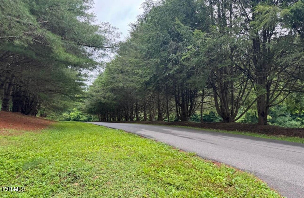 Photo #31: Tbd Black Bear Drive