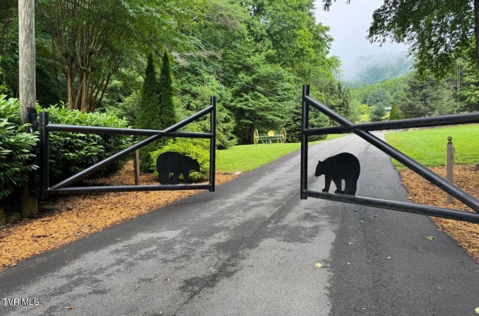 Photo #3: Tbd Black Bear Drive