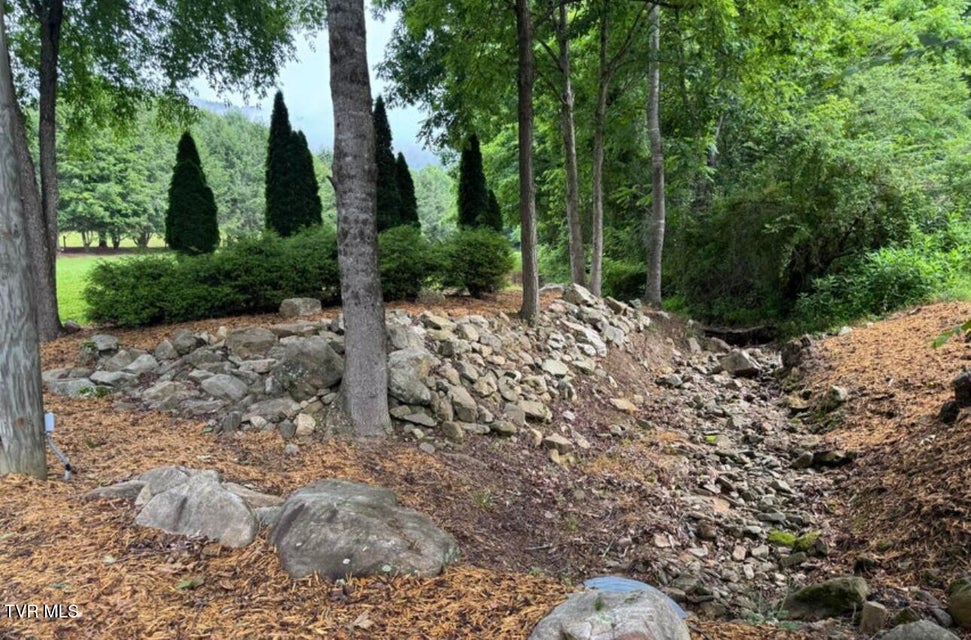 Photo #5: Tbd Black Bear Drive