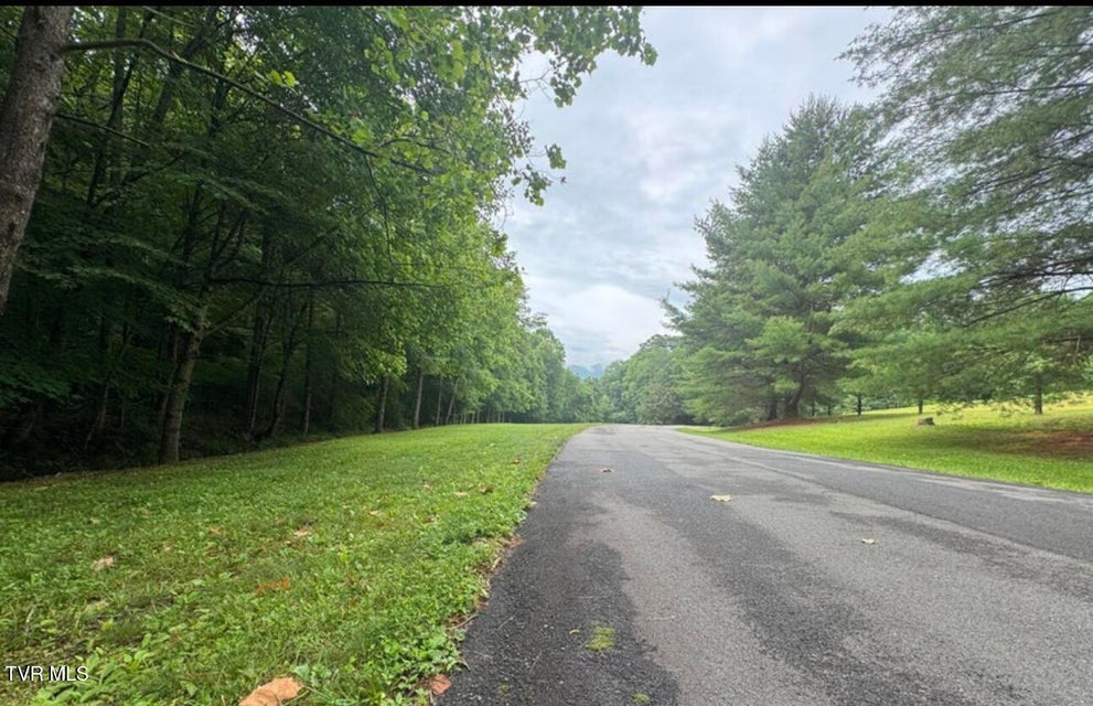 Photo #9: Tbd Black Bear Drive