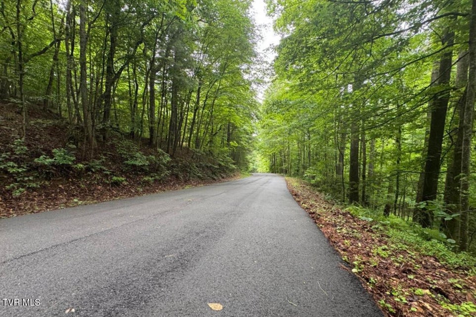 Photo #32: Tbd Black Bear Drive