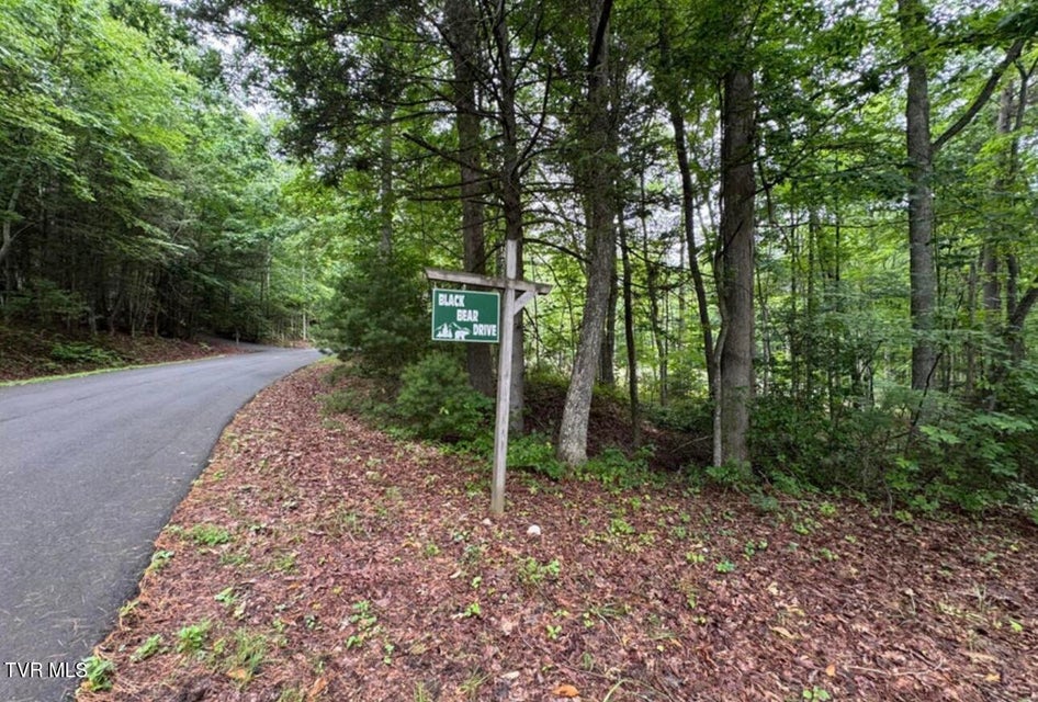 Photo #11: Tbd Black Bear Drive