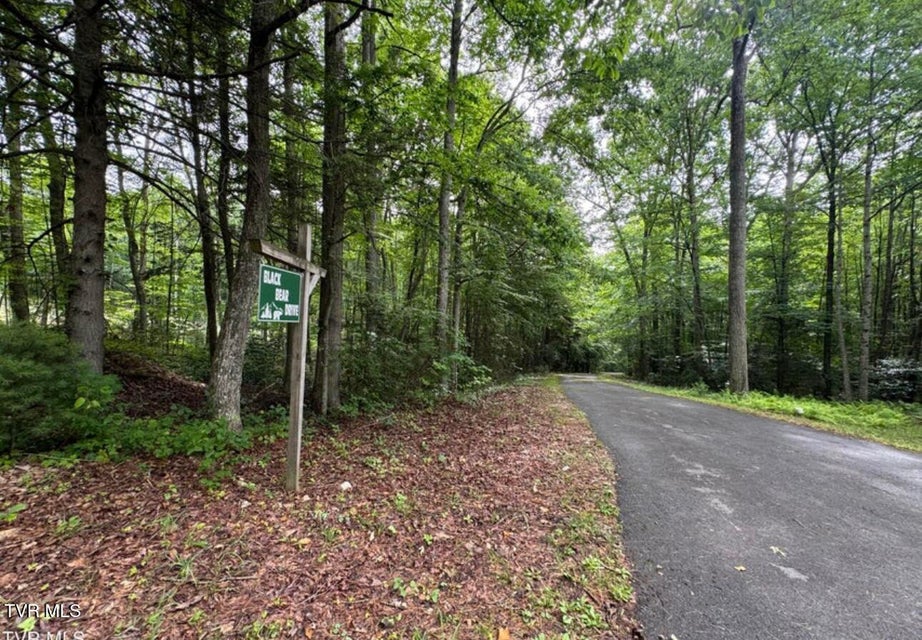 Photo #33: Tbd Black Bear Drive