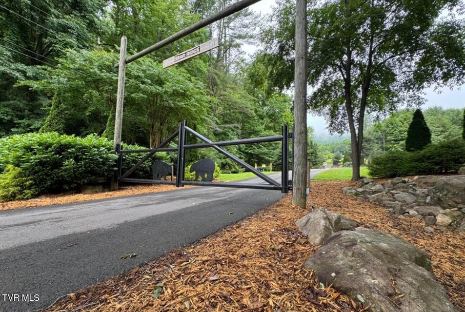 Photo #2: Tbd Black Bear Drive