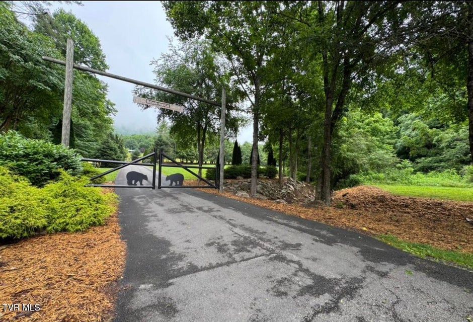 Photo #34: Tbd Black Bear Drive