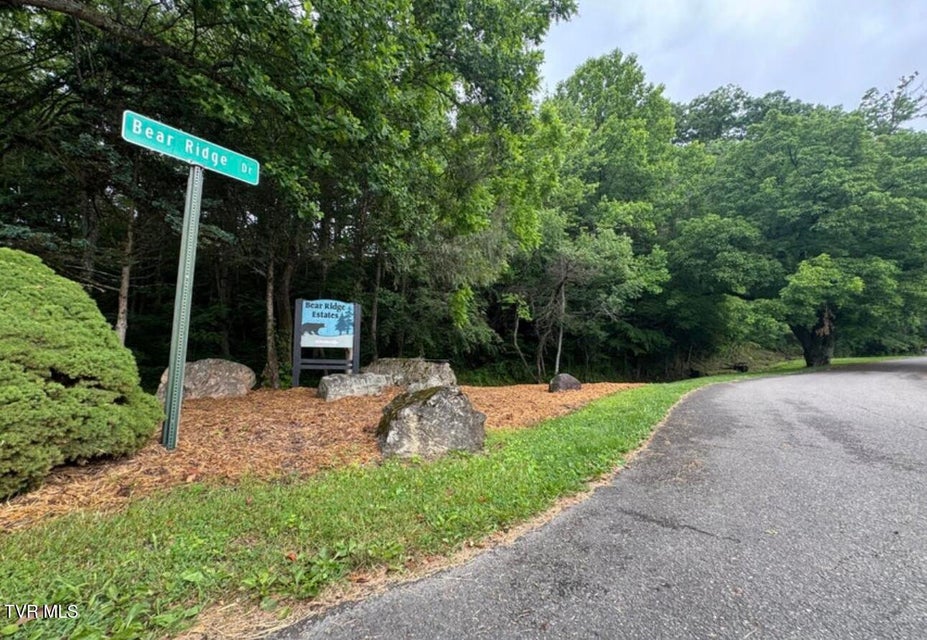 Photo #6: Tbd Black Bear Drive