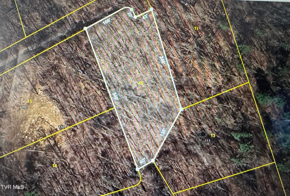 Photo #27: Tbd Black Bear Drive