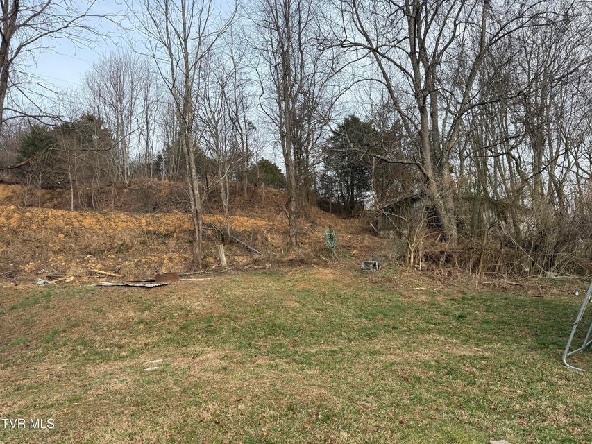 Photo #4: 3005 Long Hollow Road