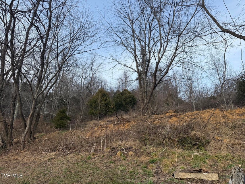 Photo #3: 3005 Long Hollow Road