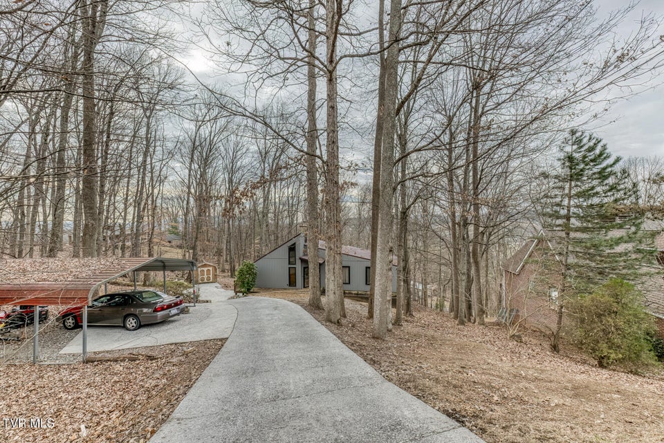 Photo #29: 704 Stuffle Street